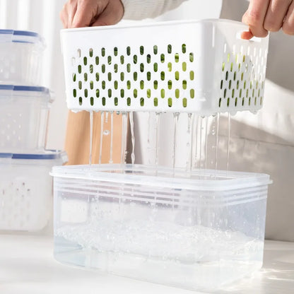 Drain Basket Refrigerator Preservation Storage Box